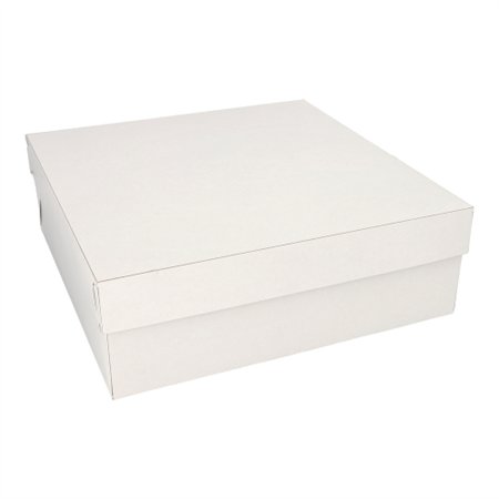 Gebaksdozen met deksel Karton vierkant 30cm x 30cm x 10cm Wit