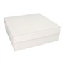 Gebaksdozen met deksel Karton vierkant 30cm x 30cm x 10cm Wit