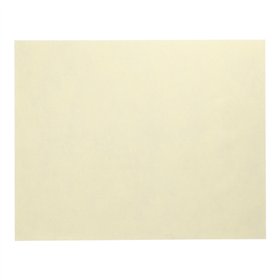 Placemats stofkarakter nonwoven soft selection 30cm x 40cm Crème - Horecavoordeel.com