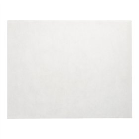 Placemats stofkarakter nonwoven soft selection 30cm x 40cm Wit - Horecavoordeel.com