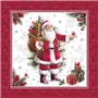 Servetten 3-laags 1/4 vouw 40cm x 40cm HoHoHo - Horecavoordeel.com