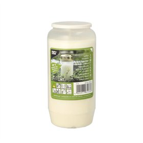 Olielicht T6 100 % plantaardig vet Ø 7cm x 14cm Wit transparante houder
