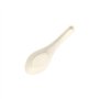 Fingerfood Amuse - Lepels Suikerriet Pure 14,5cm Asia - Horecavoordeel.com