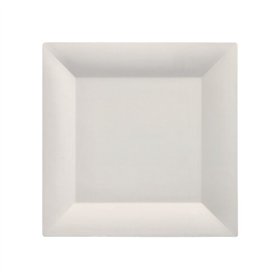 Fingerfood Amuse - Schaaltjes Suikerriet Pure vierkant 1,5cm x 20,3cm x 20,3cm Wit - Horecavoordeel.com
