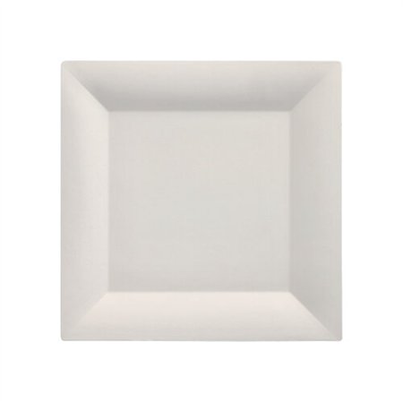 Fingerfood Amuse - Schaaltjes Suikerriet Pure vierkant 1,5cm x 20,3cm x 20,3cm Wit - Horecavoordeel.com