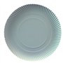 Borden Karton (rc) rond Ø 30cm x 2cm Wit - Horecavoordeel.com