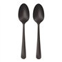 Lepels herbruikbaar PP 19cm Zwart Circulware