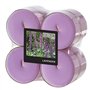Geurtheelichten maxi Flavour by GALA Ø 59mm x 24mm Violet - Lavendel in behuizing van polycarb