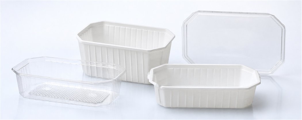 Maxi Salad Containers PP Octagonal | Horecavoordeel