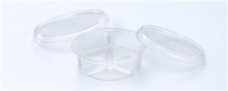 Salad trays 3-Compartment | Horecavoordeel