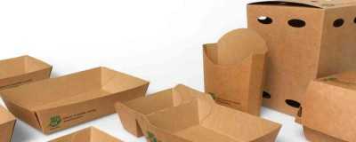 Looking for Sustainable Snack trays made of Cardboard? -Horecavoordeel.com-