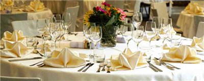 Disposable Table Runners for Parties and Events -Horecavoordeel.com-