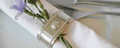 1-Ply Napkins | For Everyday Use