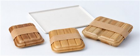 Catering Trays & Lids | Horecavoordeel