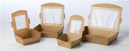 Cardboard Salad Containers with Fixed | Horecavoordeel