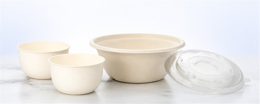 Sugarcane Bowls & Trays | Various Sizes & Shapes