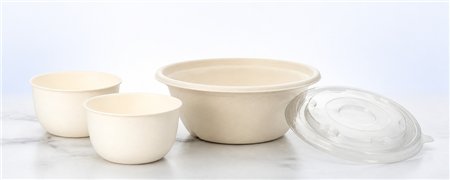 Sugarcane Bowls & Trays | Various Sizes & Shapes
