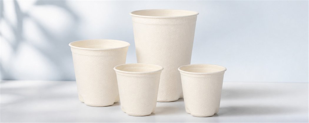 Sugarcane Drinking Cups | Various Sizes & Designs