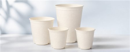 Sugarcane Drinking Cups | Various Sizes & Designs