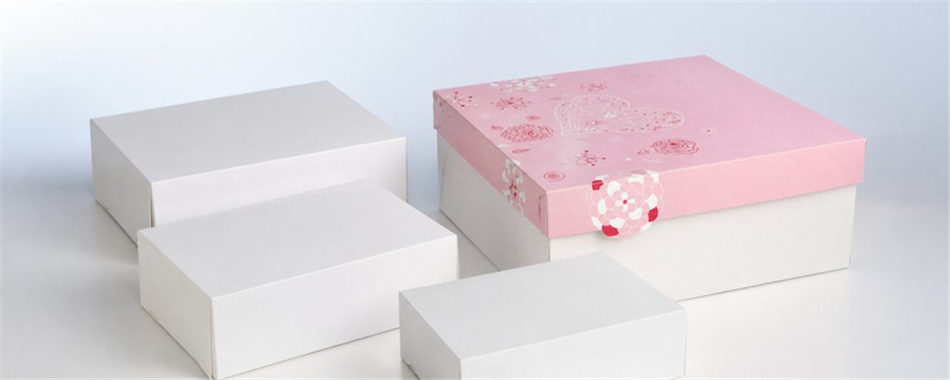 Standaard Gebaksdozen | Voor Gebak, Taart & Patisserie