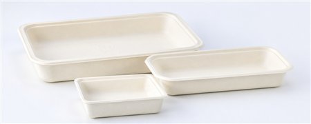 Sugarcane Gastronorm Trays | GN Food Trays & Containers