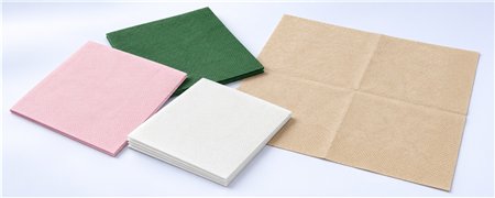 Lunchservetten 2-laags 30-35 cm | Horecavoordeel