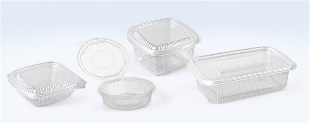 Salad Containers with Attached Lids | Horecavoordeel